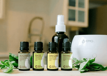 How to Make Oregano Oil: Discover the Process in 6 Steps