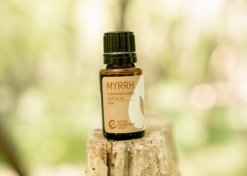 Myrrh Benefits: 6 Surprising Health Benefits Unveiled