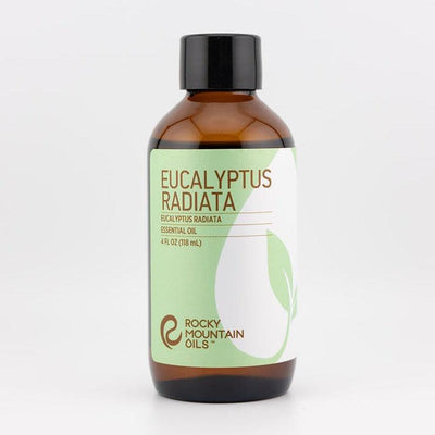 Eucalyptus radiata Essential Oil - 4oz