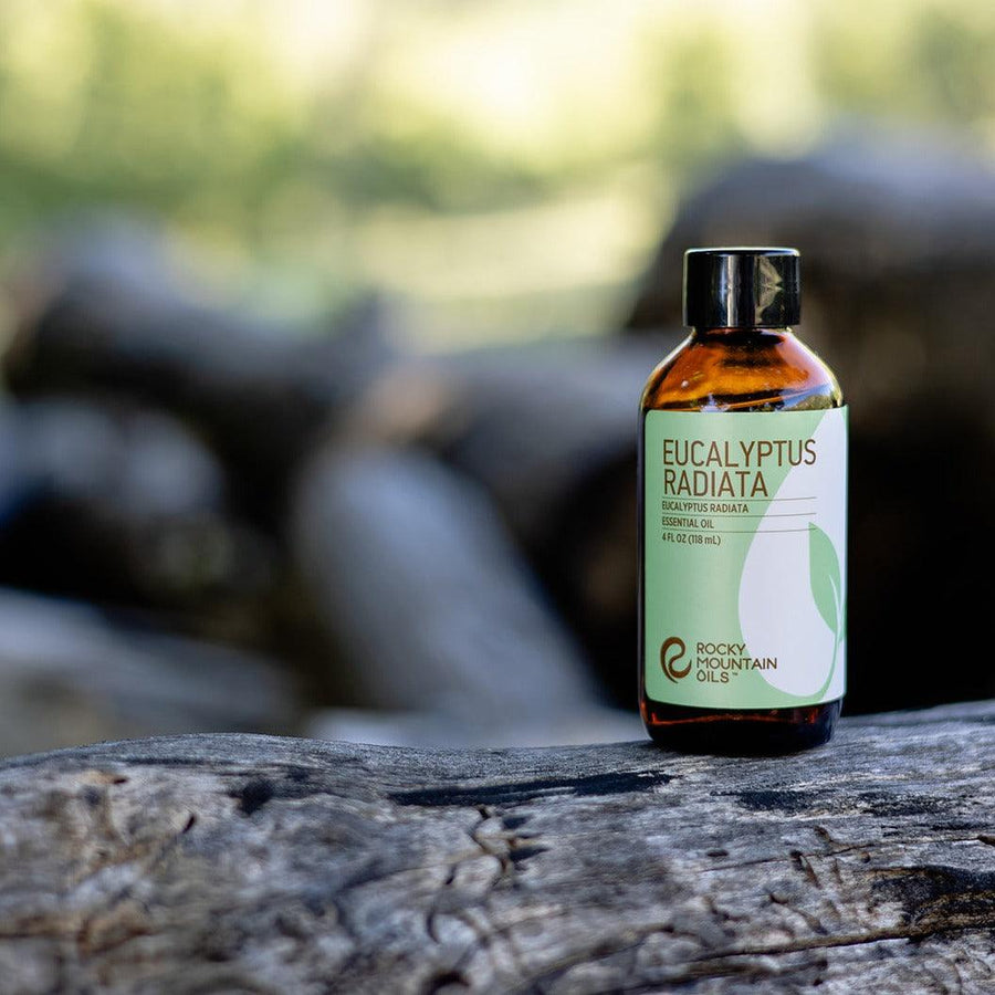 Eucalyptus Radiata Essential Oil