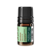 Peppermint Essential Oil