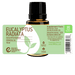 Eucalyptus Radiata Essential Oil