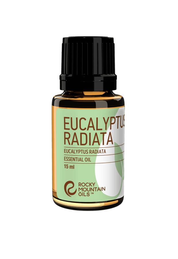 Eucalyptus radiata Essential Oil - 15ml