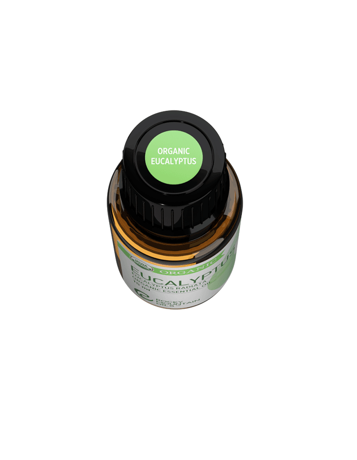 Organic Eucalyptus Essential Oil