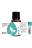 Purify Essential Oil Blend