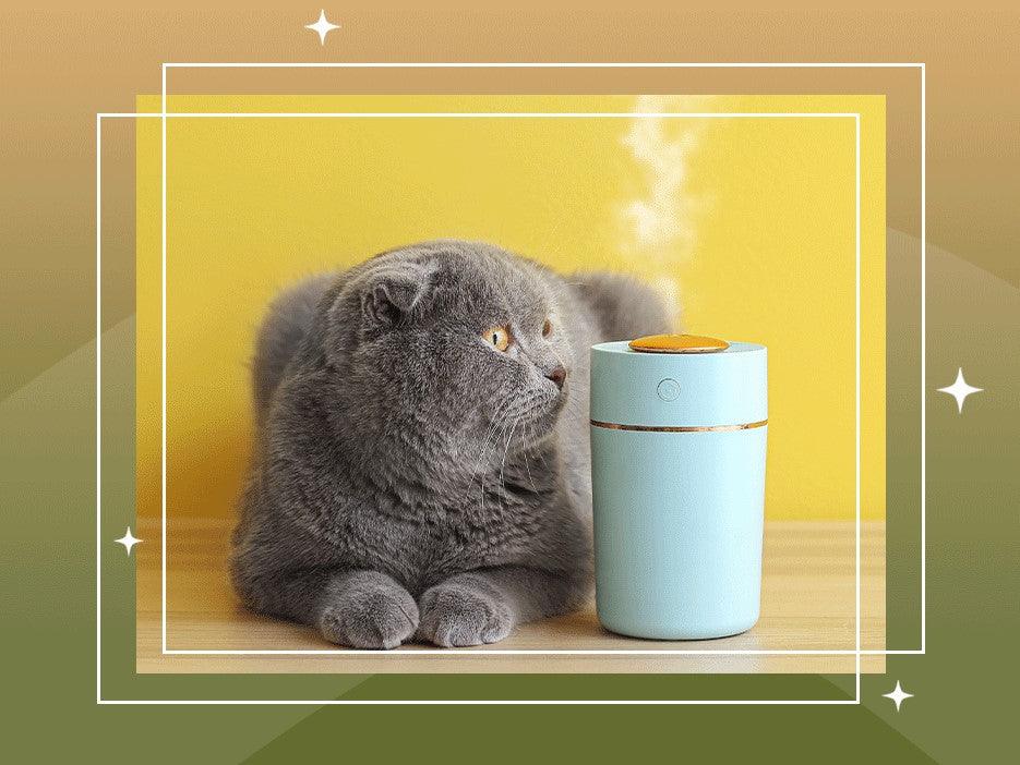 Diffusing Essential Oils Around Your Pets - featured image
