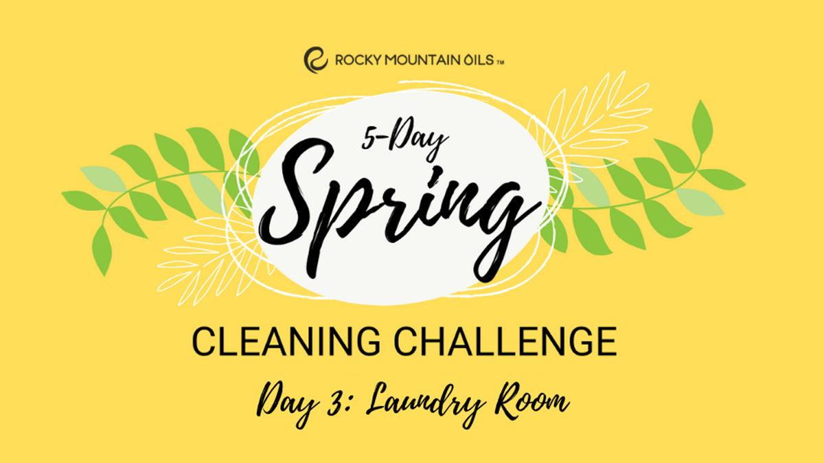 Spring Cleaning Challenge Day 3:  Laundry Room