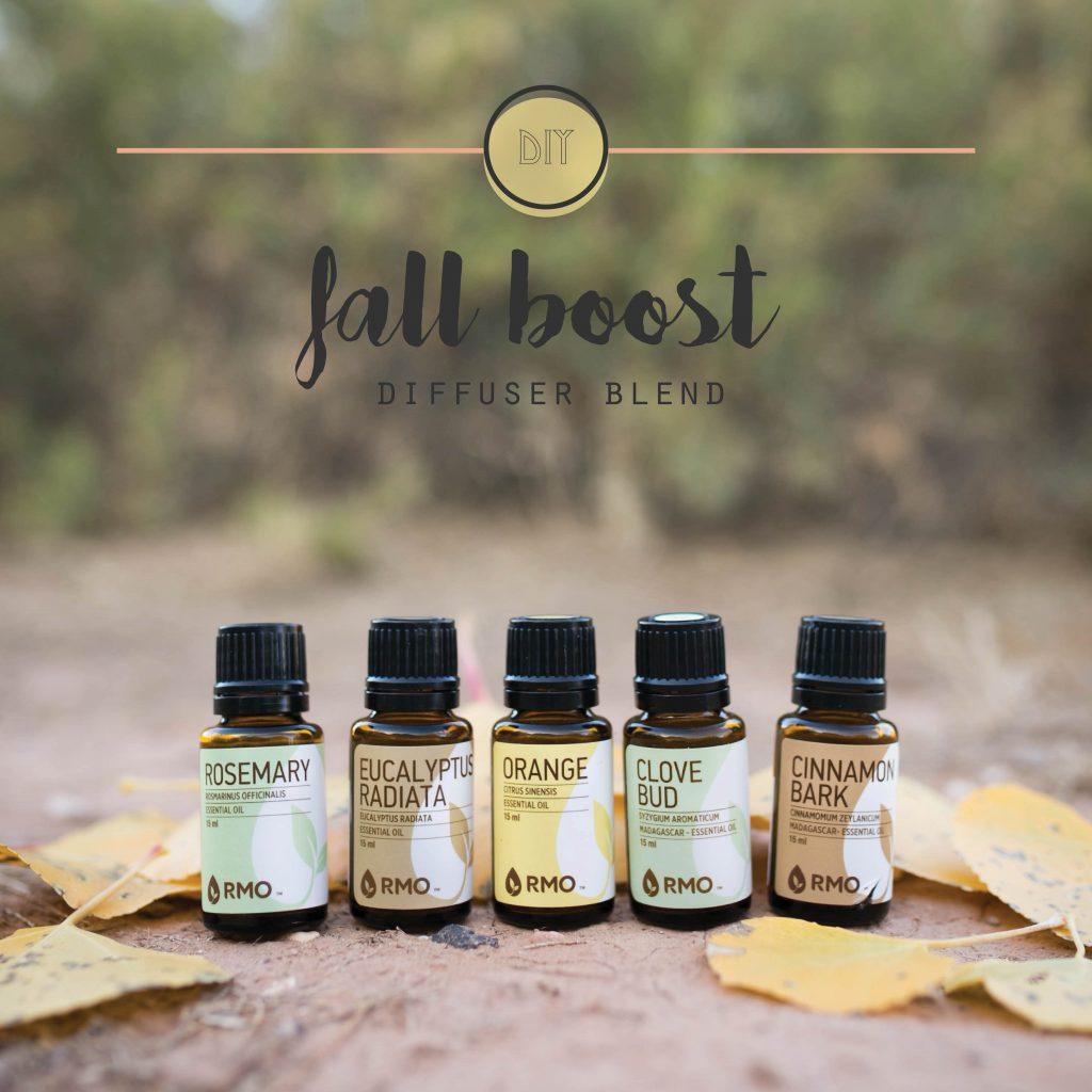 Fall Boost Diffuser Blend