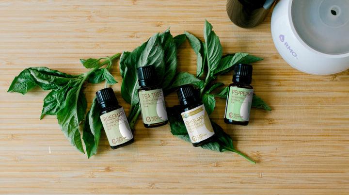 Herb Essential Oil Alternatives to Love: Substitute for Rosemary - featured image