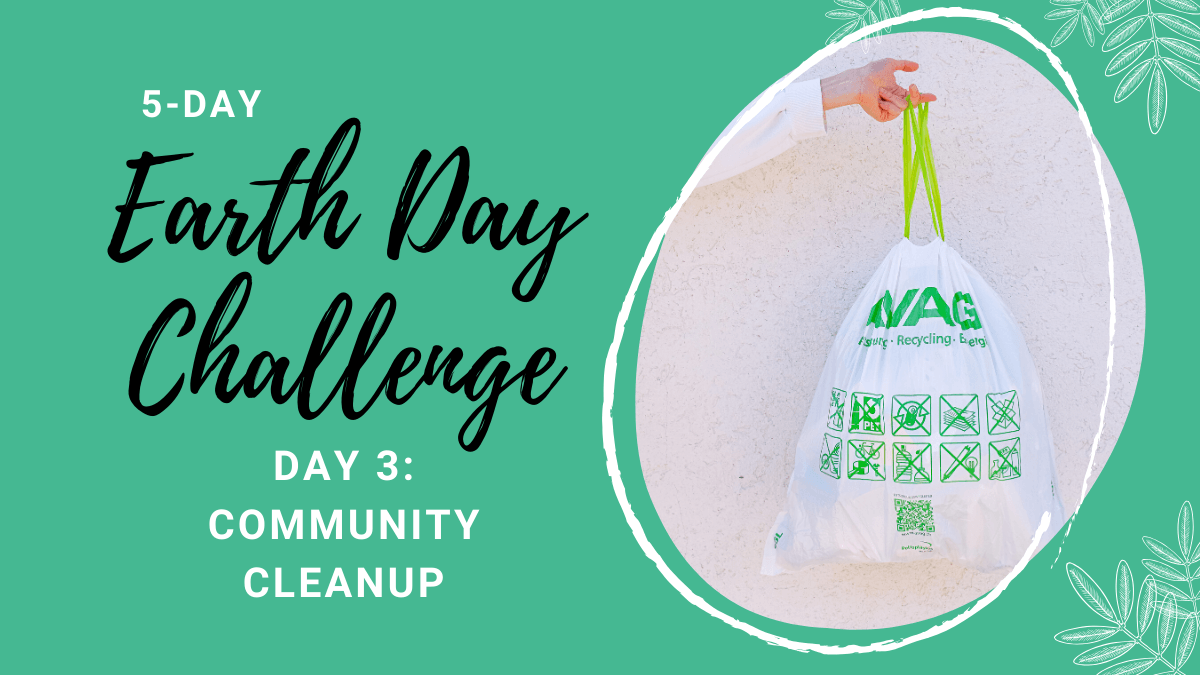 Earth Day Challenge - Day 3: Community Cleanup