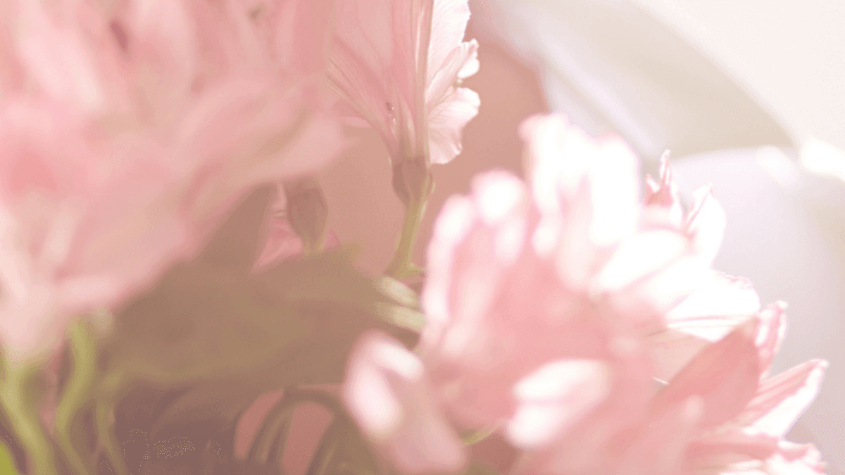 The Power of Scents: Science & Heart At Play - featured image