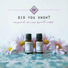 Unwind is back as Sweet Oasis