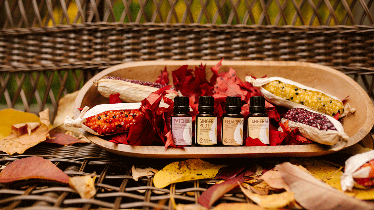 Ways to Celebrate Thanksgiving with Love and Gratitude - featured image