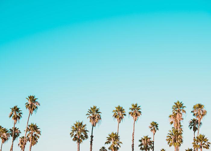 Tropical Diffuser Blends