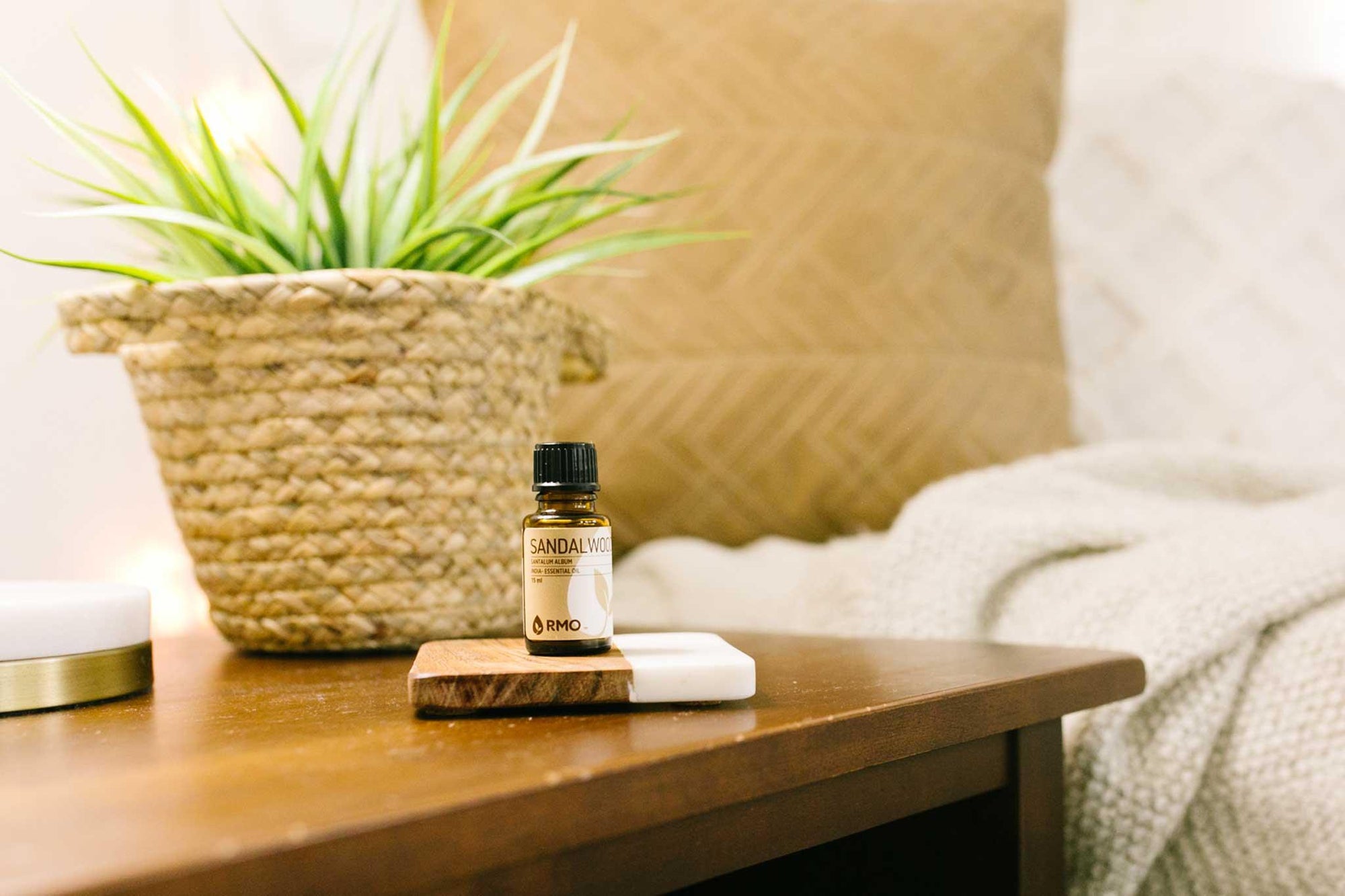 Sandalwood in the Face of Adversity - featured image