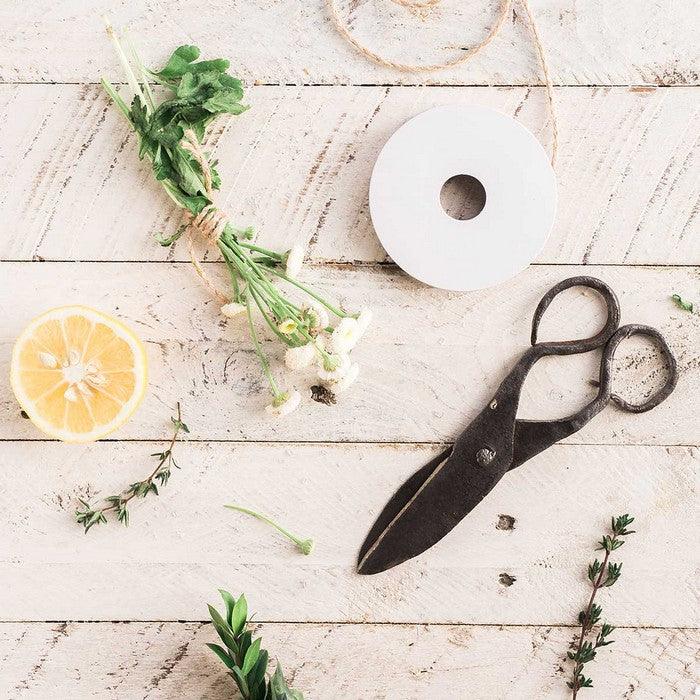 Citrus Surface Scrub - featured image