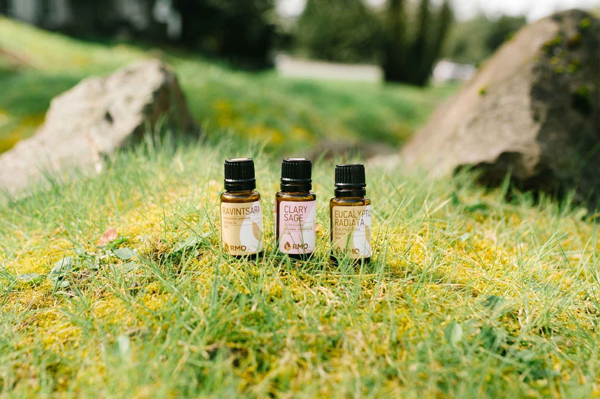 Seasonal Support Diffuser Blend - featured image