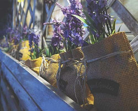 Lavender Greece