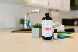 Cleaning Your Home the Natural Way