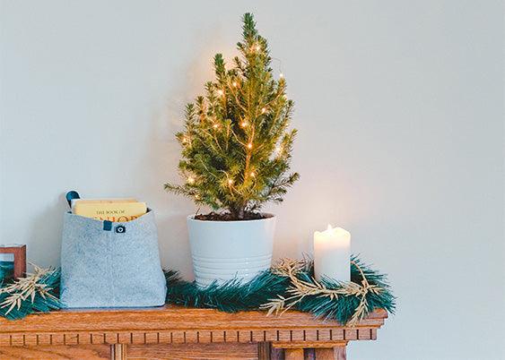 Advent Calendar | Free Printable - featured image