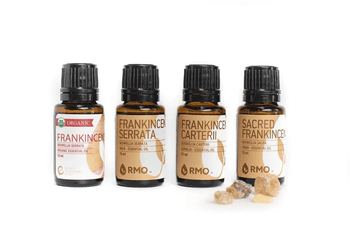 Frankincense Benefits, Uses, and Myths: Unlocking Nature's Miracle