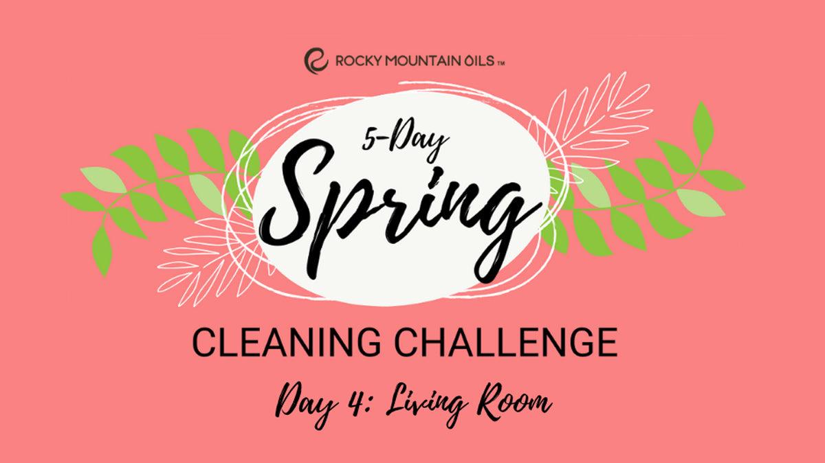 Spring Cleaning Challenge Day 4: Living Room - featured image