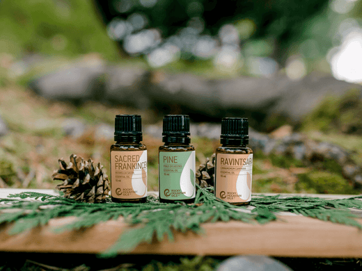 Wood Essential Oil Substitutes You'll Love - featured image