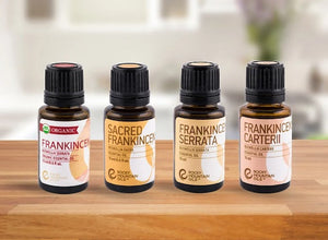 Best Essential Oil Brands: Your Guide to Quality and Purity