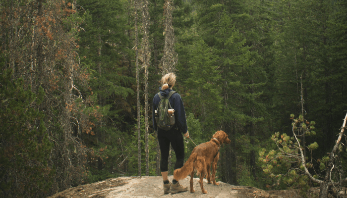 3 Essential Oils For Your Next Outdoor Adventure - featured image