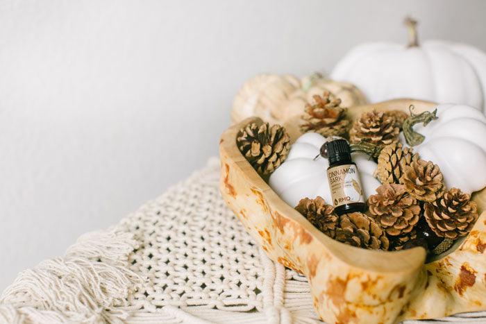 Scented Pinecones - Natural Diffuser - featured image