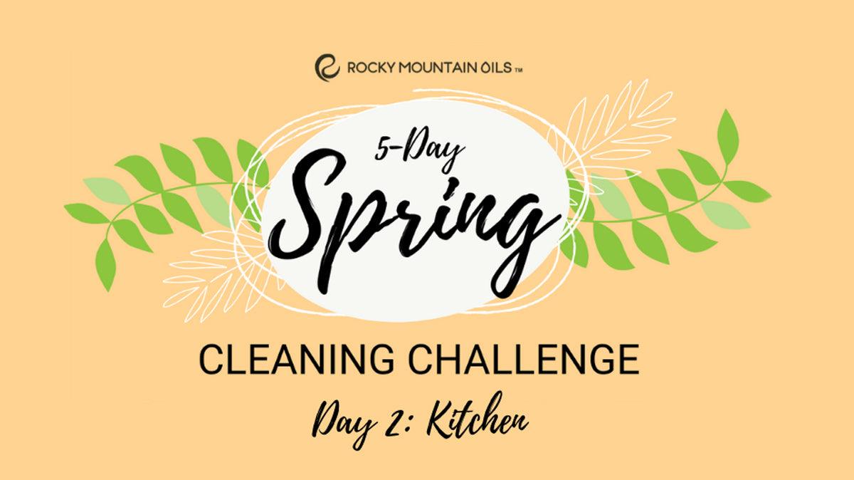 Spring Cleaning Challenge Day 2: Kitchen