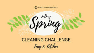 Spring Cleaning Challenge Day 2: Kitchen