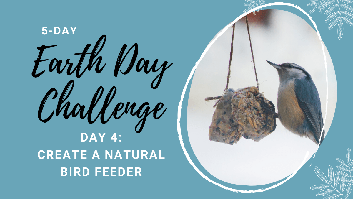 Earth Day Challenge - Day 4: Natural Bird Feeder