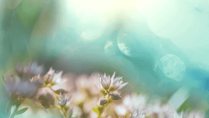 Claim Your Power: A Guide to Using EO's for Mental Health