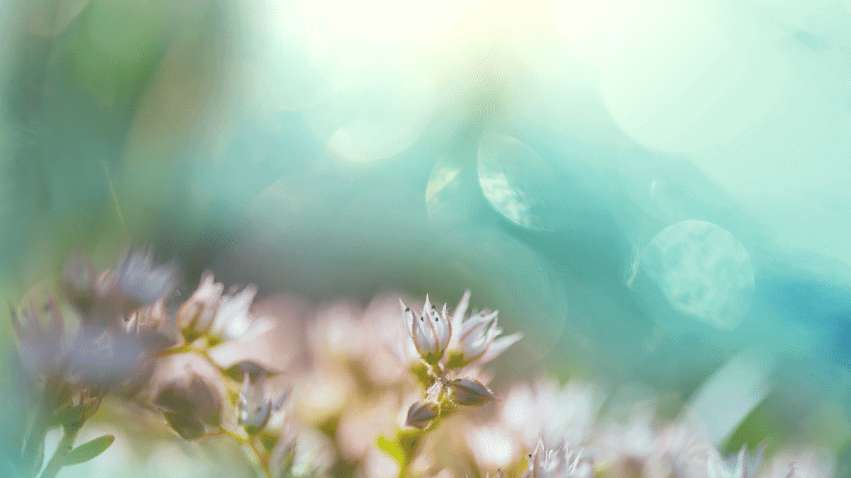 Claim Your Power: A Guide to Using EO's for Mental Health