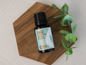 Which Herb Is the Best Substitute for Rosemary?