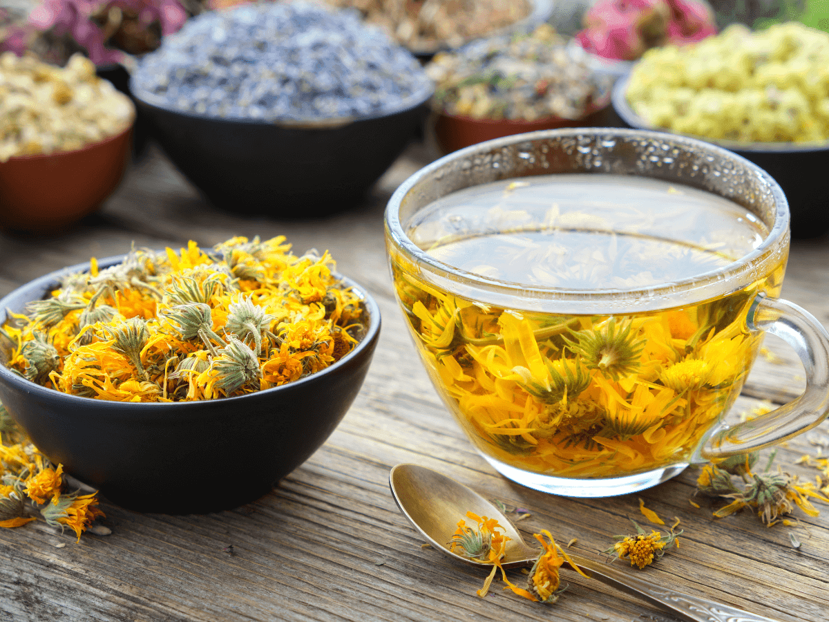Helichrysum Essential Oil Benefits - featured image