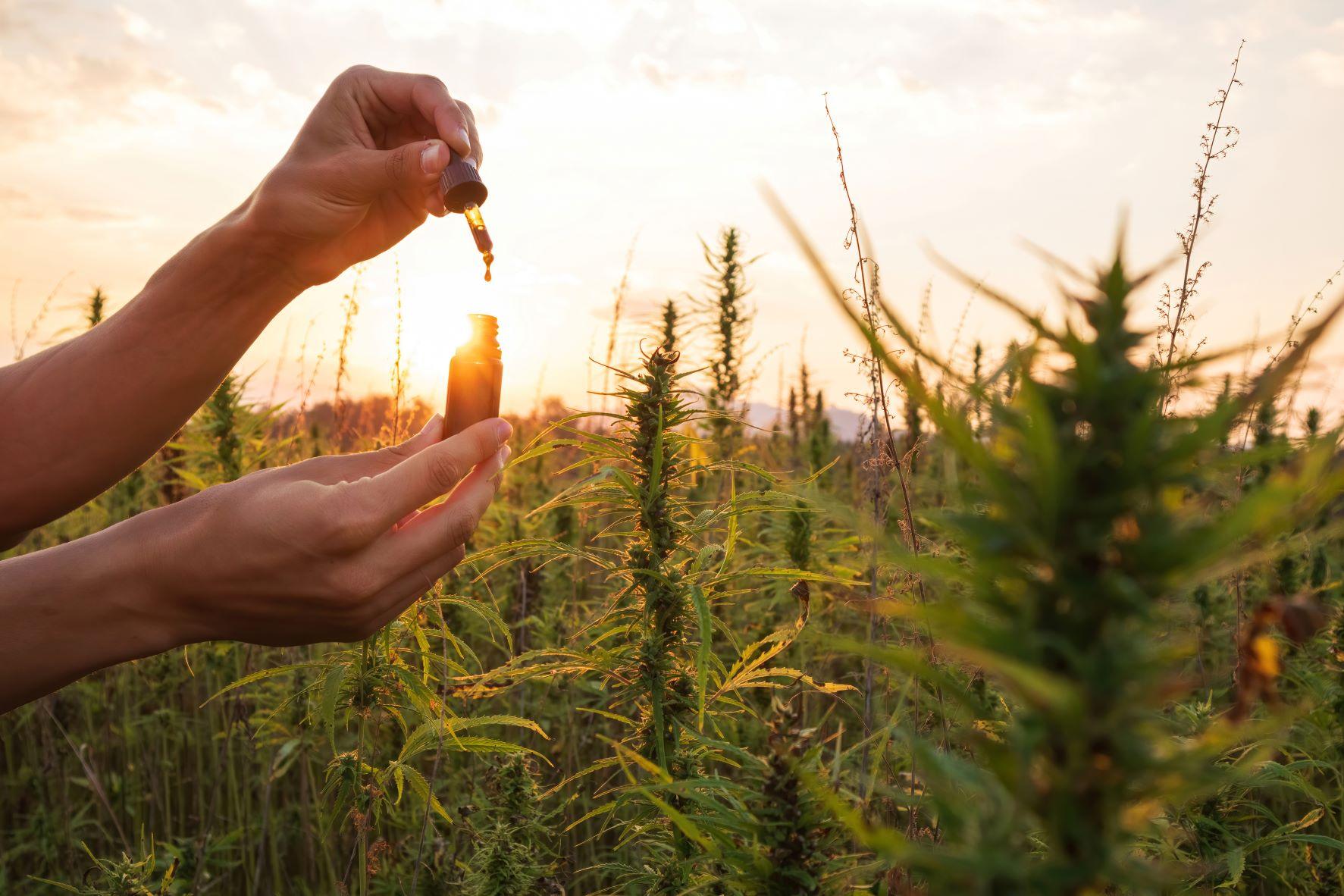 CBD 101: Part 3