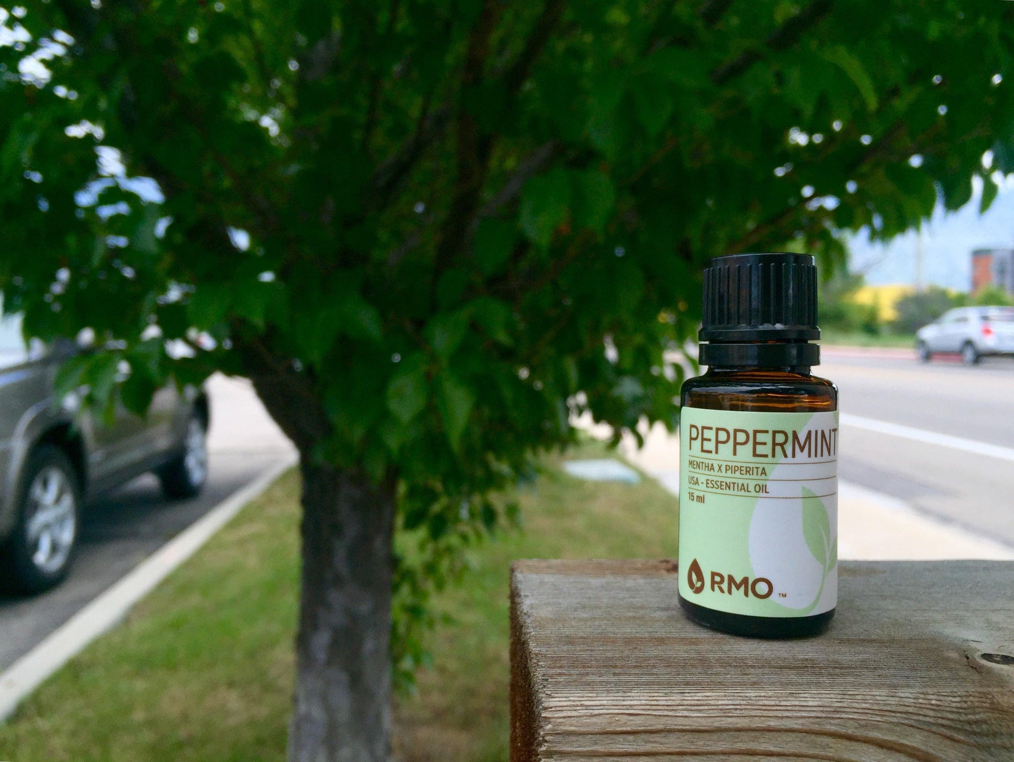 Peppermint Essential Oil Uses