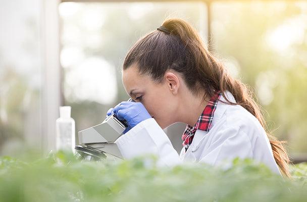 Essential Oil Testing and Quality