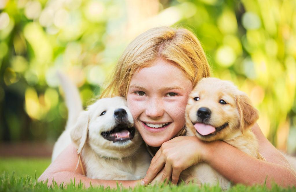 Essential Oils for Dogs: Tips and Tricks