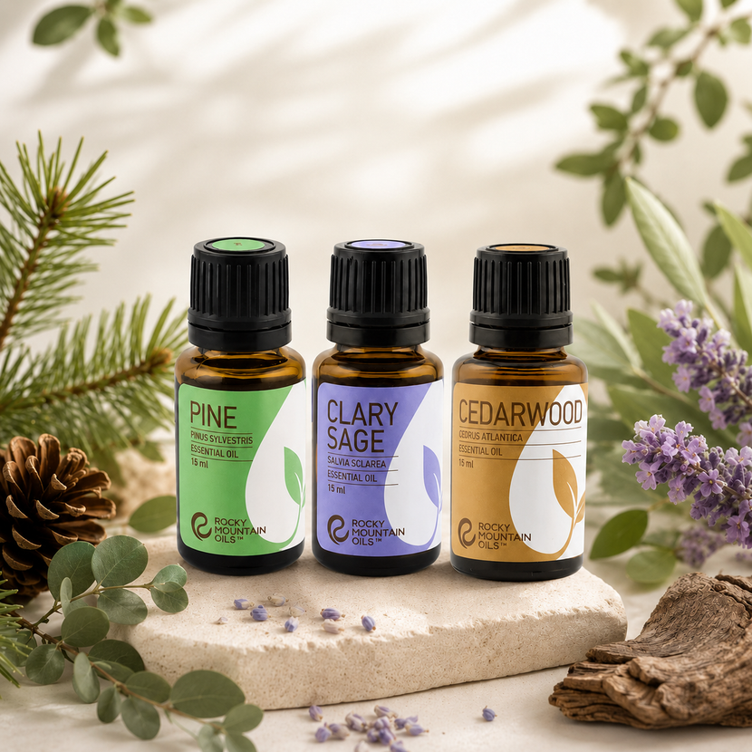 Study Buddy Bundle