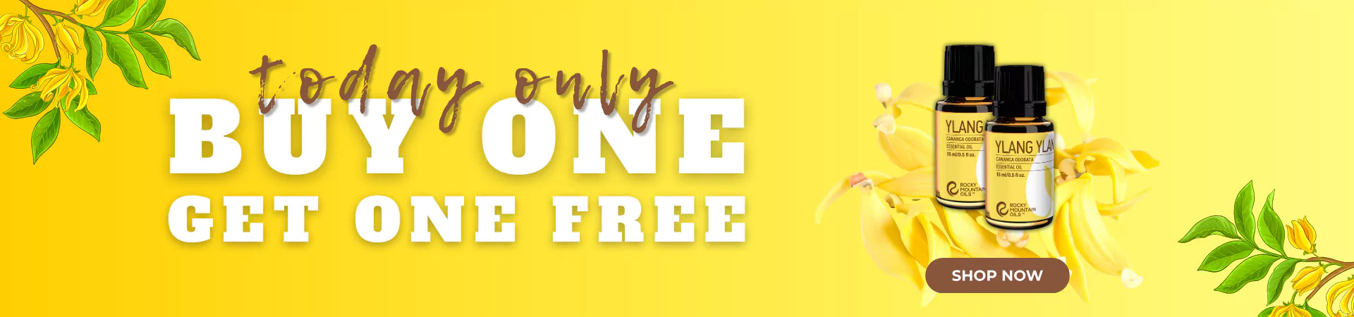 1st Day Monthly BOGO
