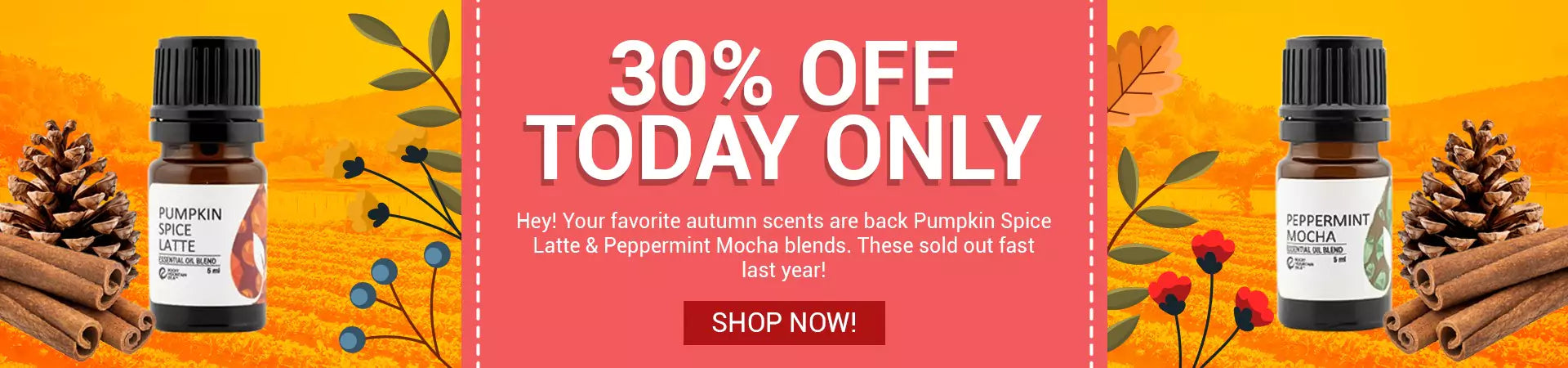 Favorite Autumn Scents