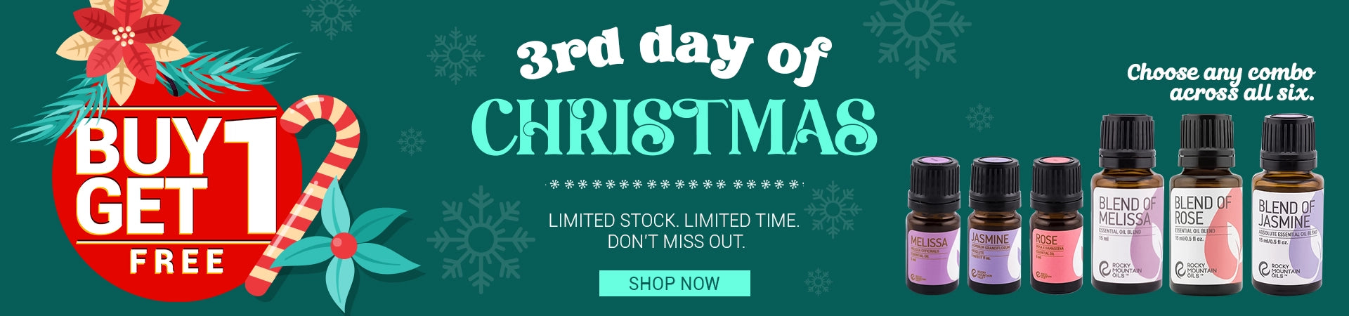 3rd Day of Christmas