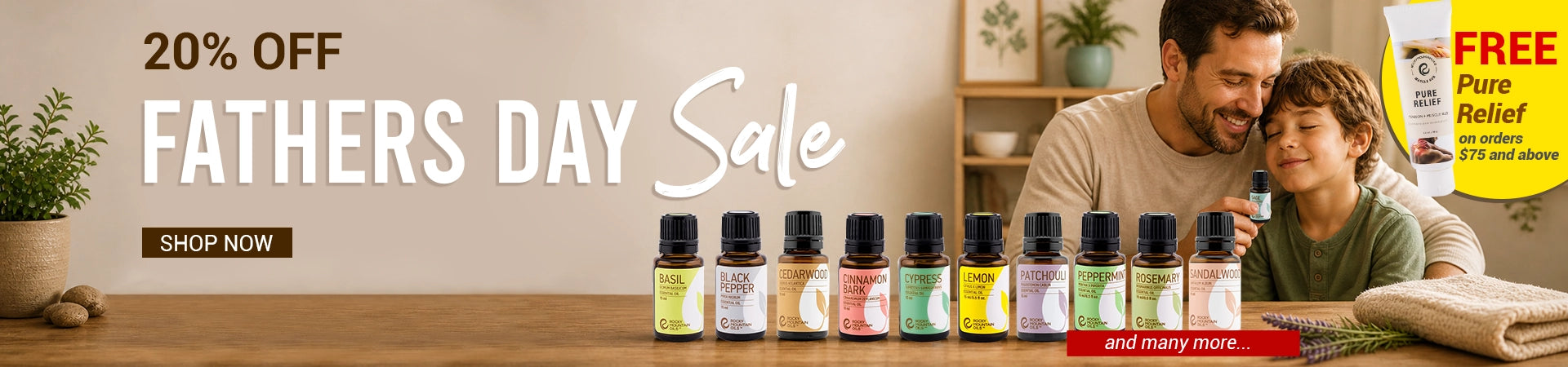 Father's Day Sale