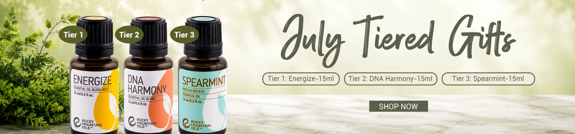 Oilty Plus July