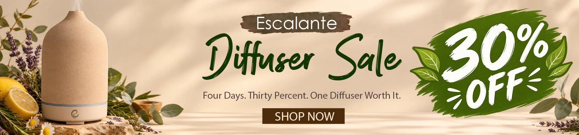 Escalante Diffuser