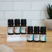 Everyday Blends Kit