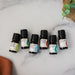 Everyday Blends Kit